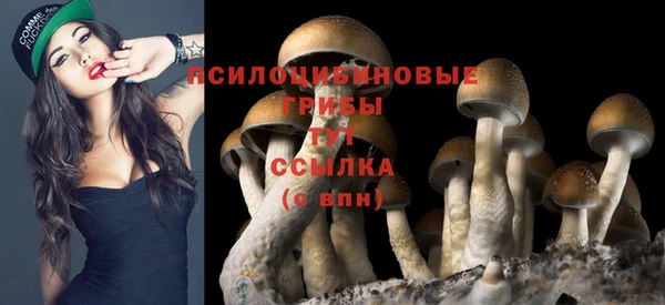 гидропоника Беломорск