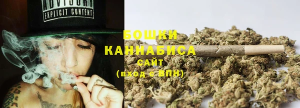 стаф Белокуриха