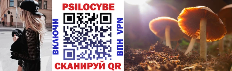 Галлюциногенные грибы Psilocybe ссылка на мегу онион Афипский купить наркотик